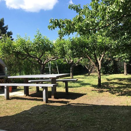 Nefelejcs Apartman Balatonvilágos المظهر الخارجي الصورة