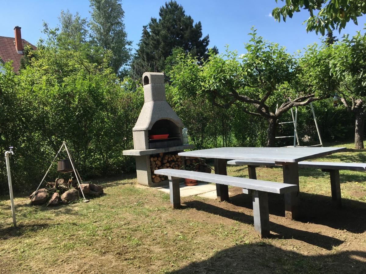 Nefelejcs Apartman Balatonvilágos المظهر الخارجي الصورة